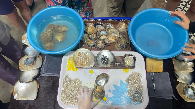 Inheritance You Can Wear: The American Heirs Apprenticing in Hyderabad's Pearl Bazaars